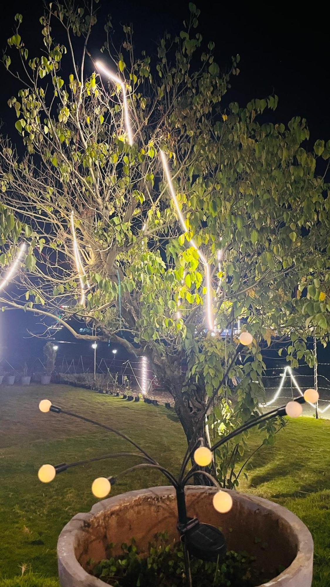 Aroma Resort Rishīkesh المظهر الخارجي الصورة